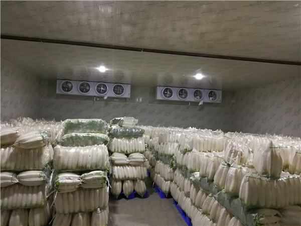 武漢冷庫(kù)-食品保鮮冷庫(kù)